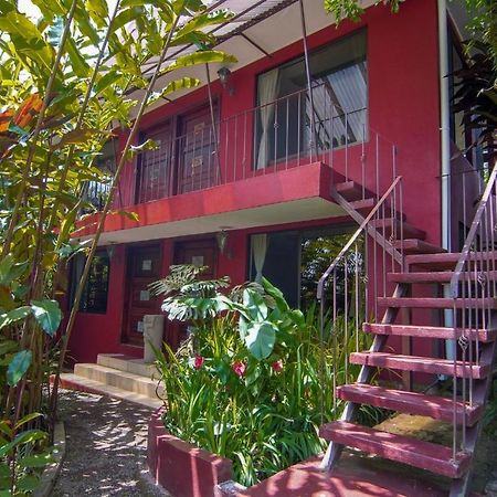 San Isidro  La Boruca Bed & Breakfast エクステリア 写真