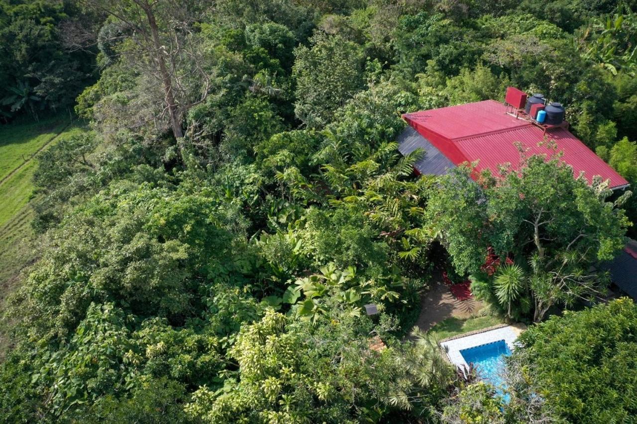 San Isidro  La Boruca Bed & Breakfast エクステリア 写真