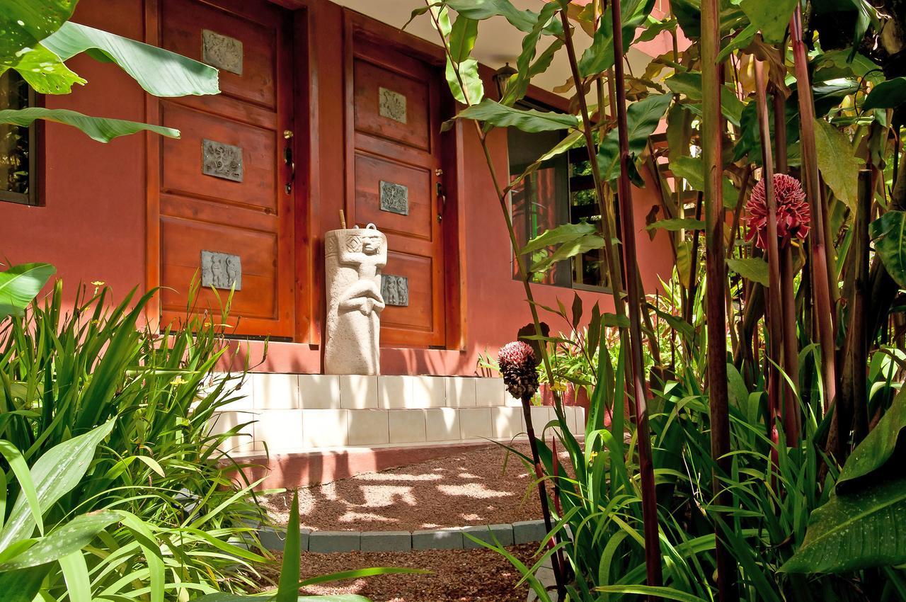 San Isidro  La Boruca Bed & Breakfast エクステリア 写真