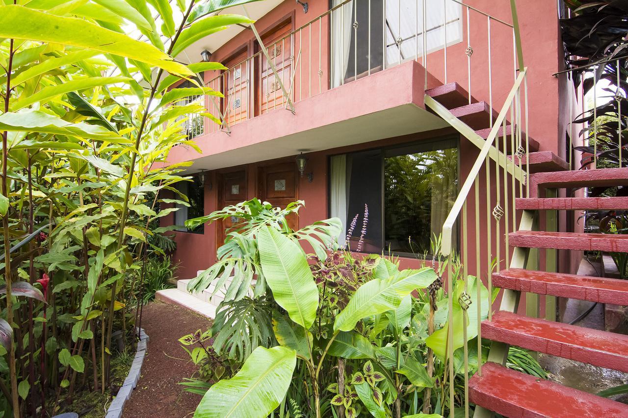 San Isidro  La Boruca Bed & Breakfast エクステリア 写真