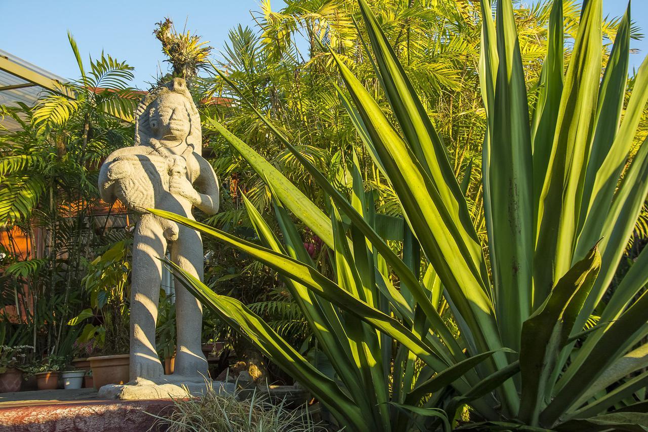 San Isidro  La Boruca Bed & Breakfast エクステリア 写真