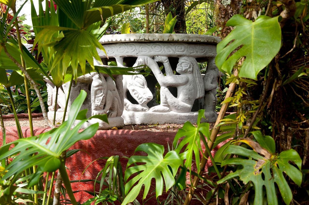 San Isidro  La Boruca Bed & Breakfast エクステリア 写真