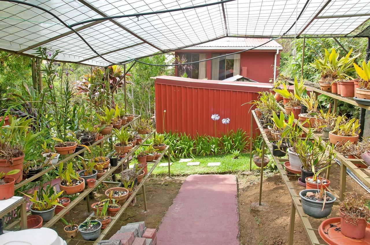 San Isidro  La Boruca Bed & Breakfast エクステリア 写真