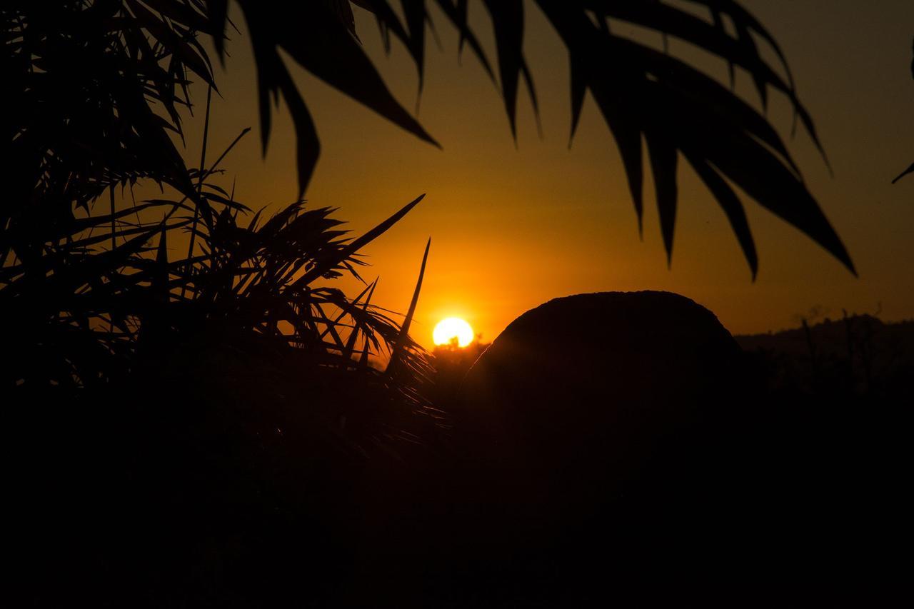 San Isidro  La Boruca Bed & Breakfast エクステリア 写真