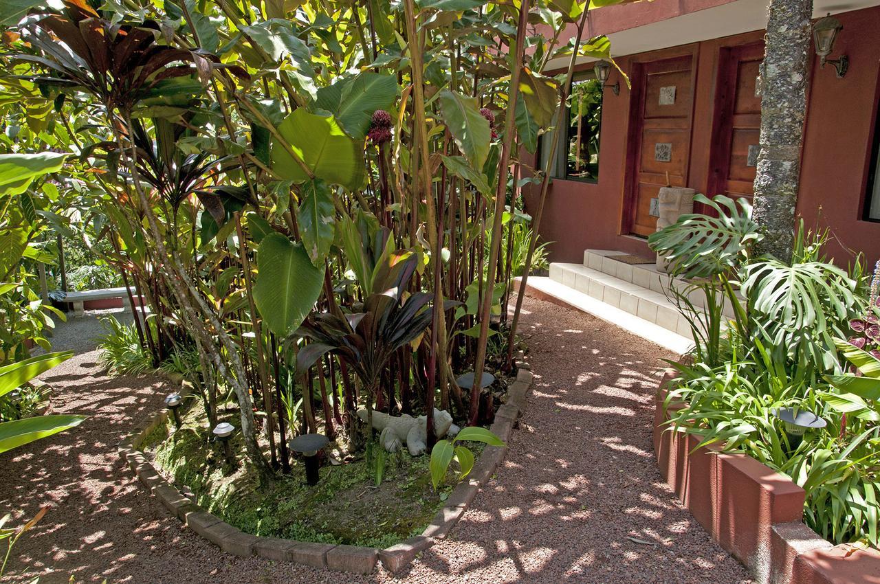 San Isidro  La Boruca Bed & Breakfast エクステリア 写真